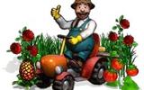 Чудо ферма — почувствуй себя настоящим фермером